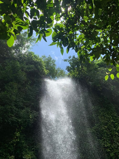 21bedef2-eafa-453f-9ec6-1f7932718401